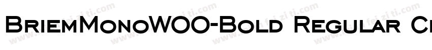 BriemMonoW00-Bold Regular Chisel No字体转换